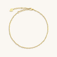Twisted Chain Anklet